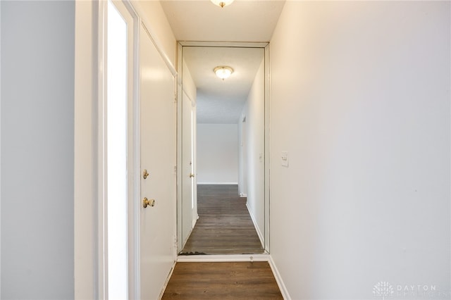 corridor with dark wood-type flooring