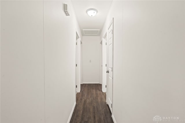 hall with dark hardwood / wood-style flooring