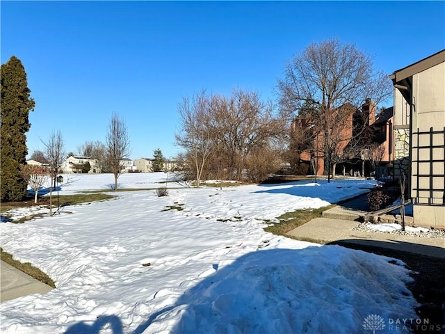 view of snowy yard