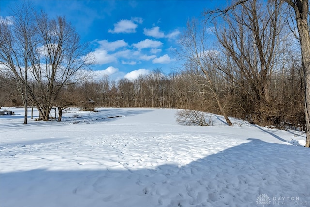 view of snowy yard