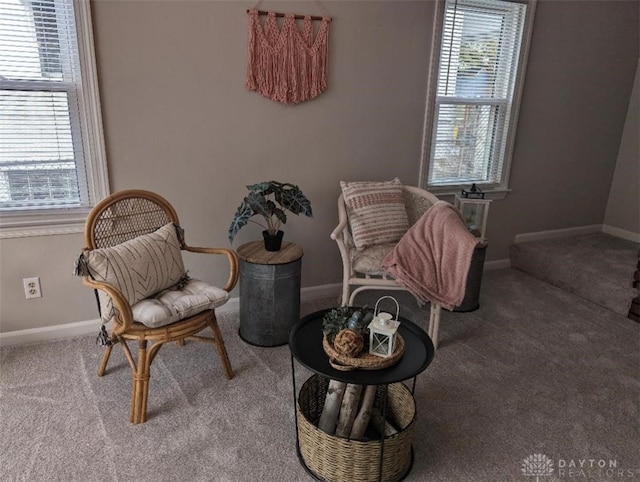 living area with carpet and a wealth of natural light