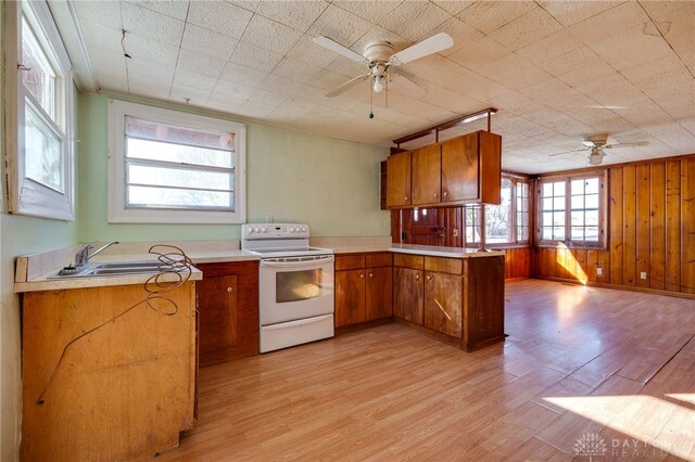 kitchen with sink, white range with electric cooktop, light hardwood / wood-style floors, kitchen peninsula, and wood walls