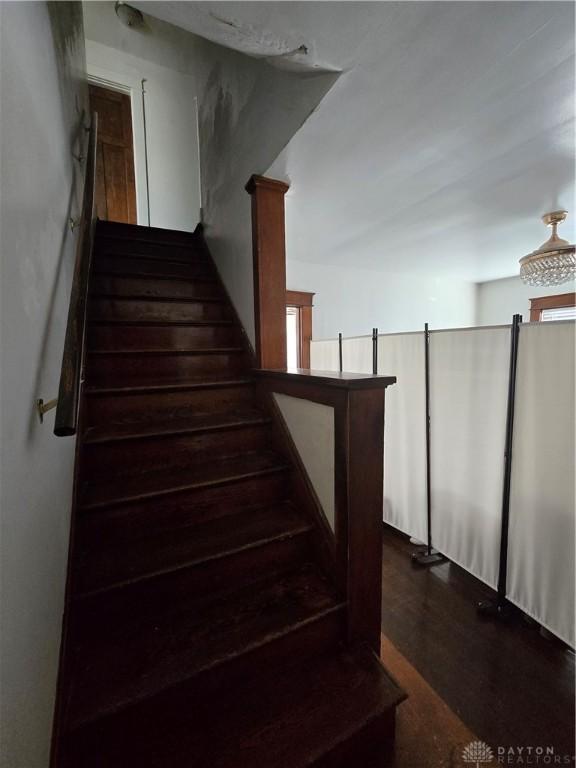 stairs featuring hardwood / wood-style floors