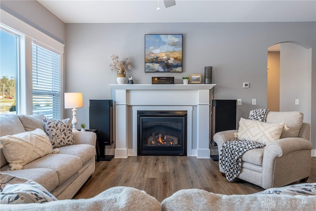 living room with hardwood / wood-style floors