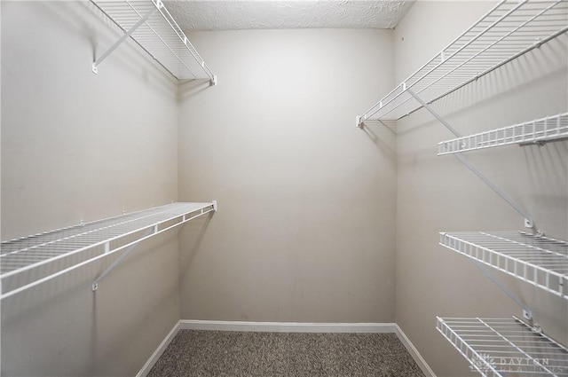 walk in closet featuring carpet