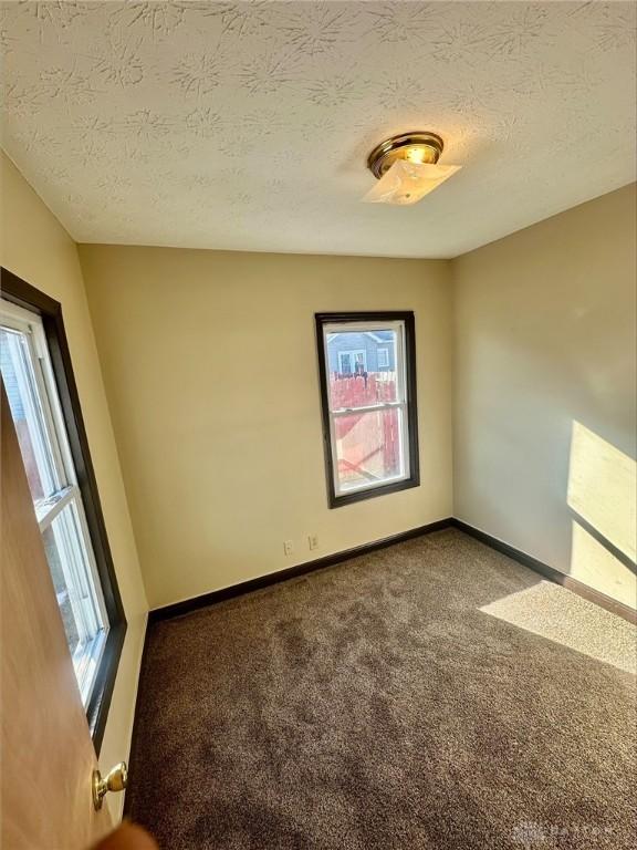 empty room featuring a textured ceiling, carpet, and a wealth of natural light