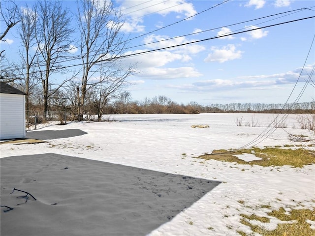 view of yard covered in snow