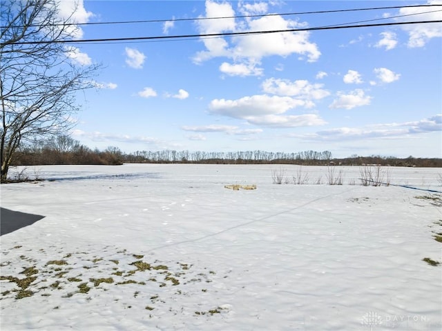 view of yard layered in snow