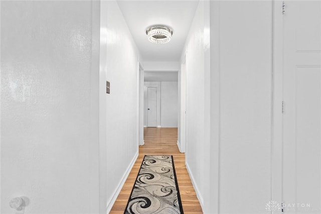 hall with light hardwood / wood-style flooring