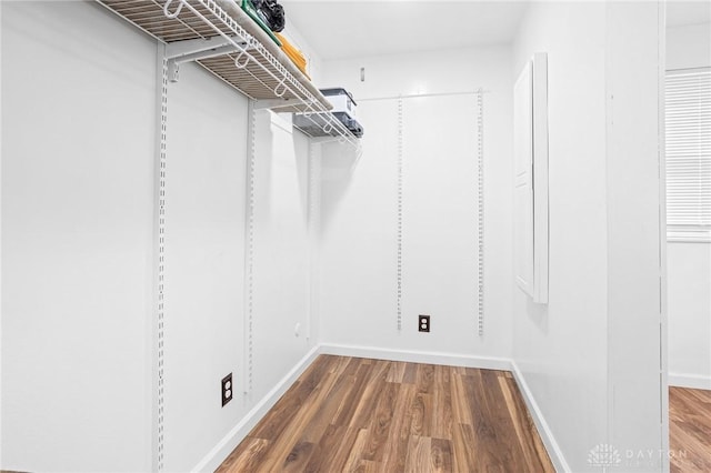 walk in closet with hardwood / wood-style flooring