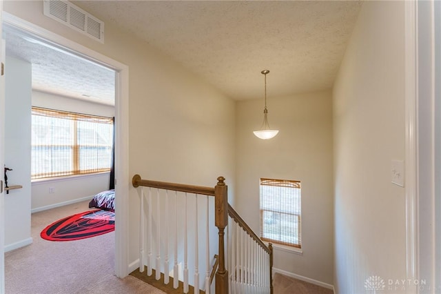 stairway featuring a textured ceiling and carpet flooring