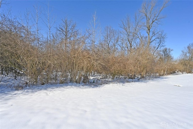 view of yard layered in snow