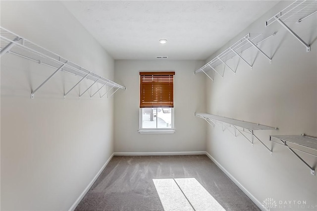 spacious closet with carpet flooring