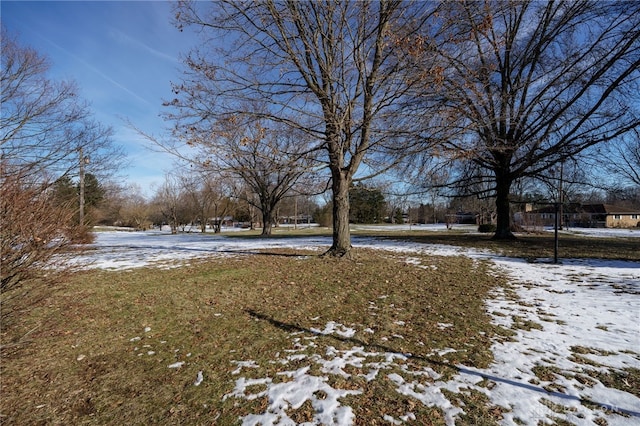 view of yard covered in snow