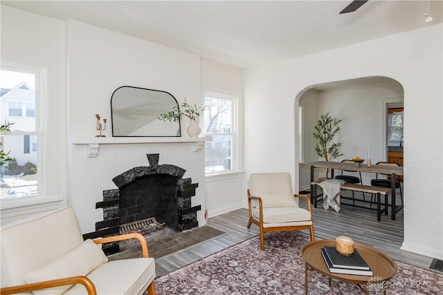 living room with hardwood / wood-style flooring and ceiling fan