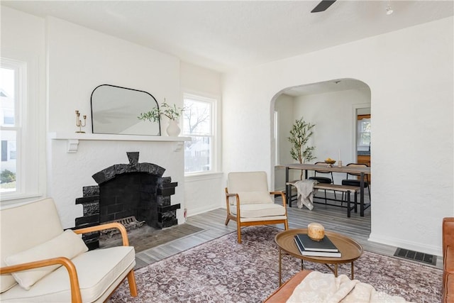 living room with ceiling fan and wood-type flooring