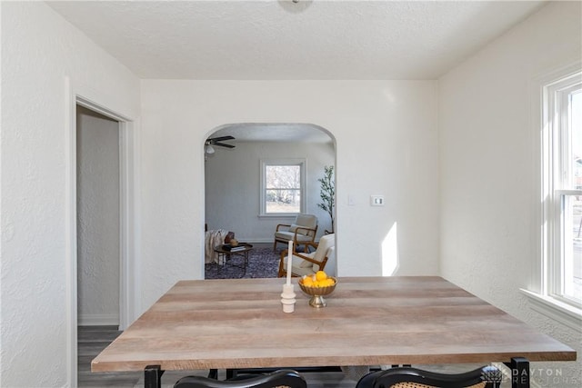 dining area featuring hardwood / wood-style floors and a textured ceiling