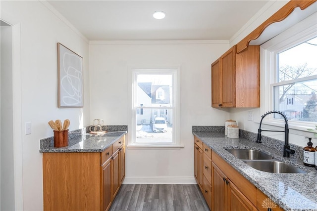 kitchen featuring sink, crown molding, plenty of natural light, and dark hardwood / wood-style floors