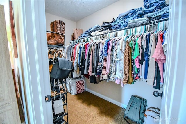 walk in closet with carpet