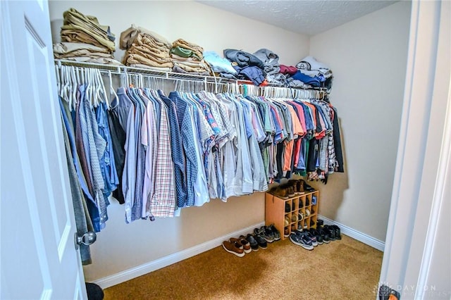 spacious closet with carpet floors