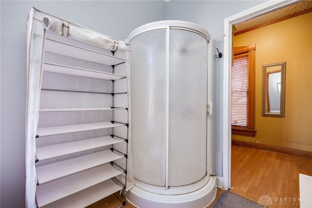 bathroom with wood-type flooring