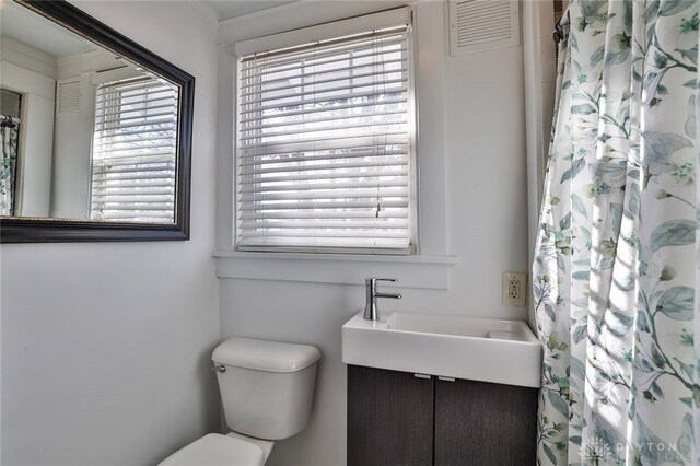 bathroom featuring vanity, a wealth of natural light, and toilet