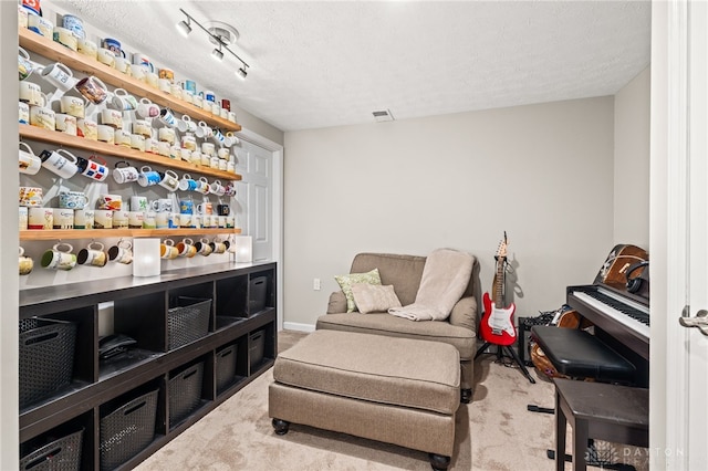 living area with a textured ceiling and carpet