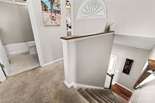 staircase featuring carpet flooring