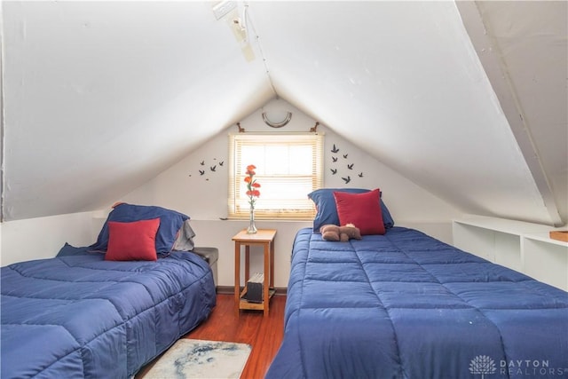 111 W Pinehurst St, Sidney, OH 45365 - bedroom featuring wood finished floors and vaulted ceiling