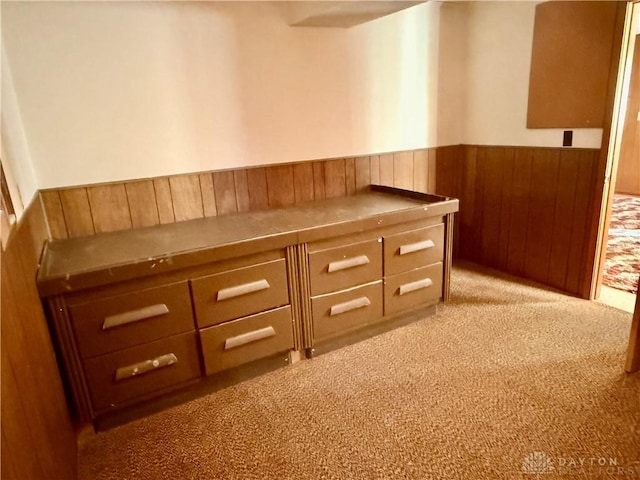 interior space featuring light colored carpet and wooden walls