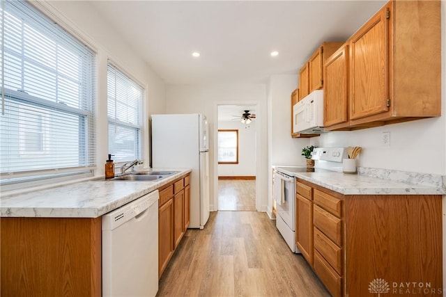 kitchen featuring sink, white appliances, ceiling fan, and light wood-type flooring