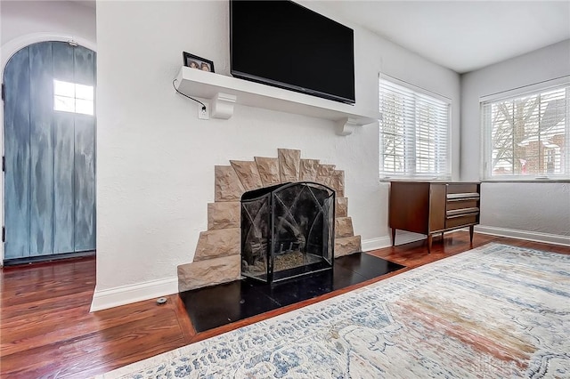 living room with hardwood / wood-style flooring and a wealth of natural light