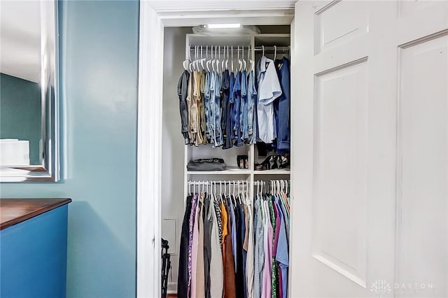 view of closet