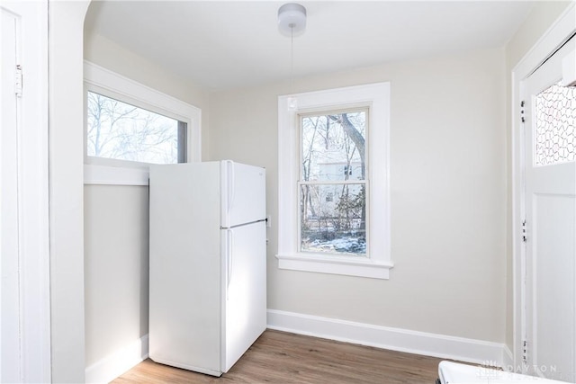 kitchen with hardwood / wood-style floors and white refrigerator