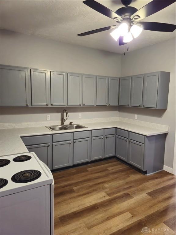 kitchen featuring gray cabinetry, sink, electric range, and dark hardwood / wood-style floors