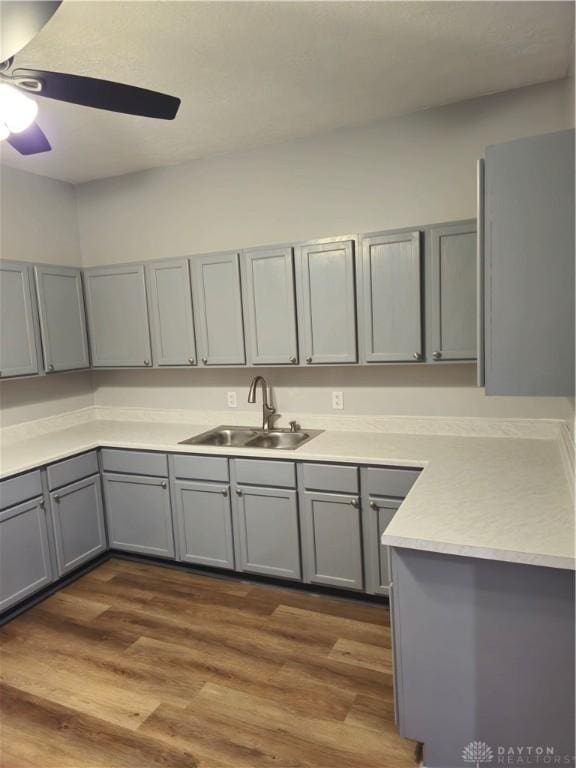 kitchen featuring gray cabinets, sink, and dark wood-type flooring