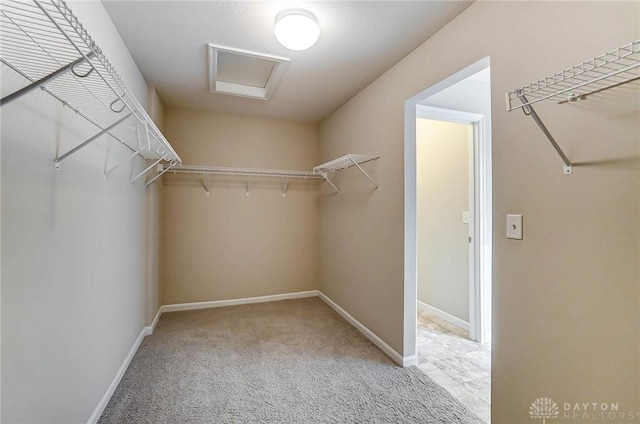 spacious closet featuring light colored carpet