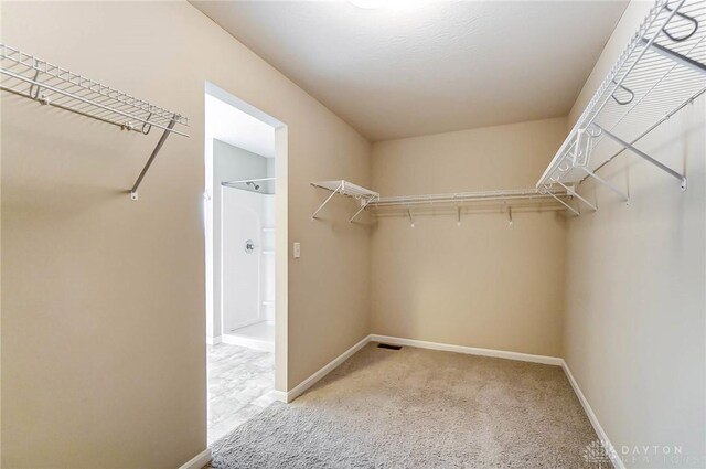 spacious closet featuring carpet