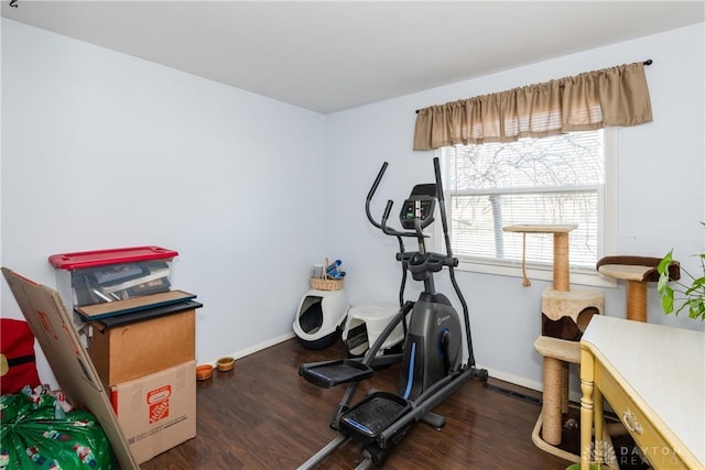 workout room featuring dark hardwood / wood-style floors