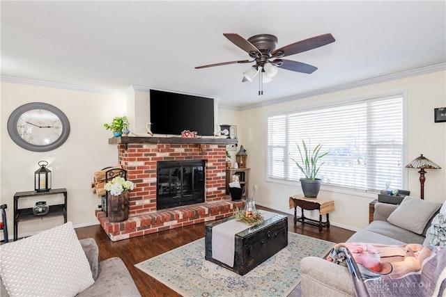 living room featuring dark wood-type flooring, ornamental molding, and a fireplace