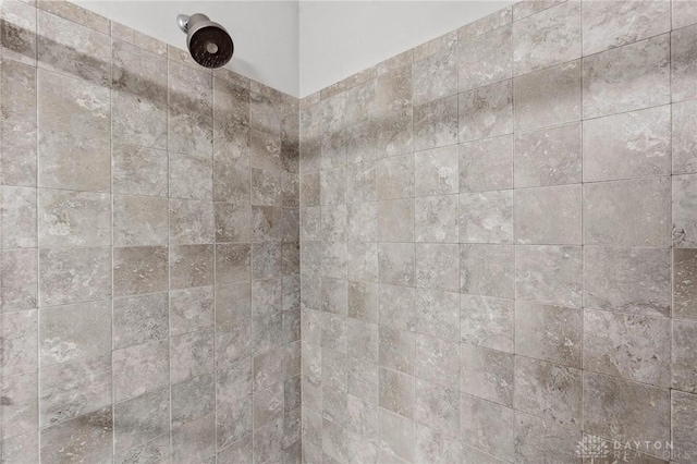 room details with tiled shower