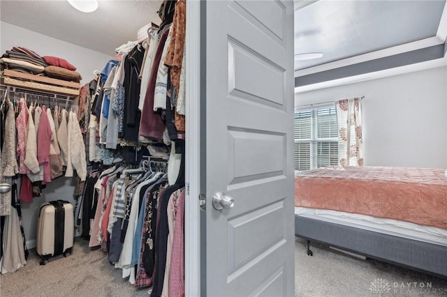 walk in closet with light carpet