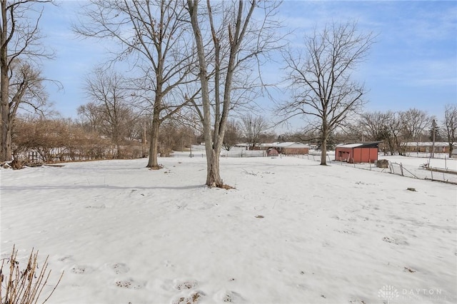 view of yard covered in snow