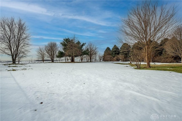 view of snowy yard