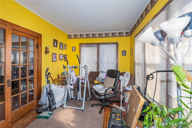 workout room featuring crown molding and carpet flooring