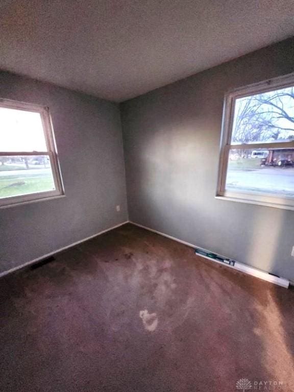 carpeted spare room with a wealth of natural light and a textured ceiling