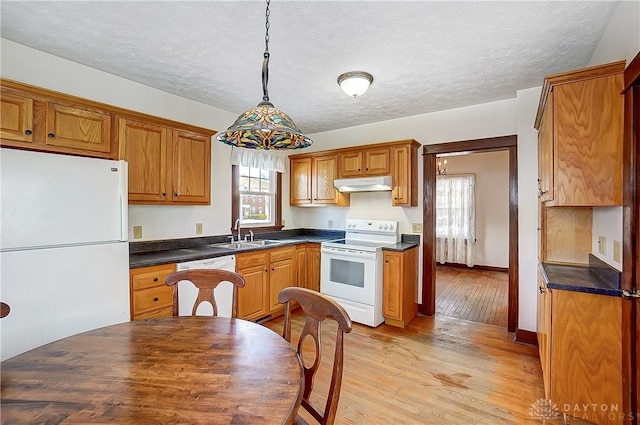 kitchen with pendant lighting, white appliances, plenty of natural light, and sink