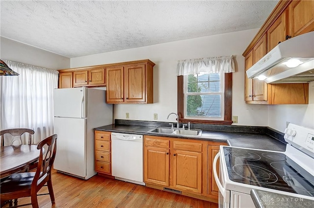 kitchen featuring sink, a textured ceiling, white appliances, and light wood-type flooring