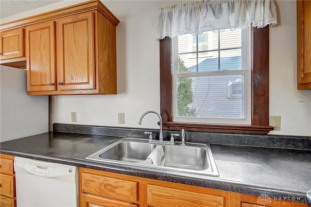 kitchen with white dishwasher and sink