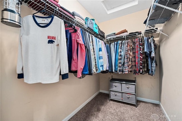 walk in closet featuring carpet flooring